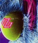 Zigzo : Tonight I Will Fall